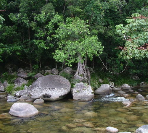 Derecho Ambiental